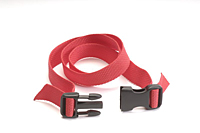 Poly Web Strapping